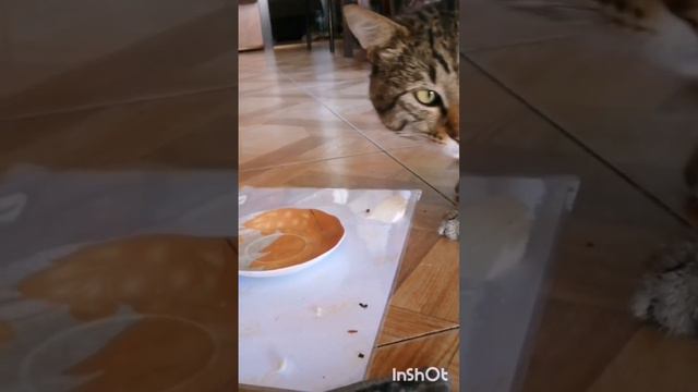 Это сладкое слово с ы ы ы р. смотреть онлайн