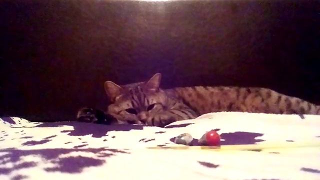 Крутые бобы и две прикольные деки смотреть онлайн