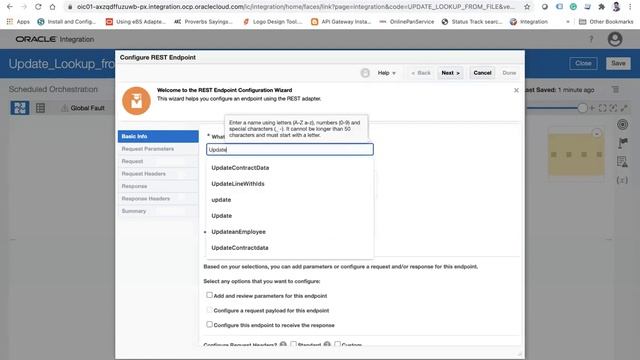 Update Lookup in Oracle Integration Cloud using CSV file смотреть онлайн