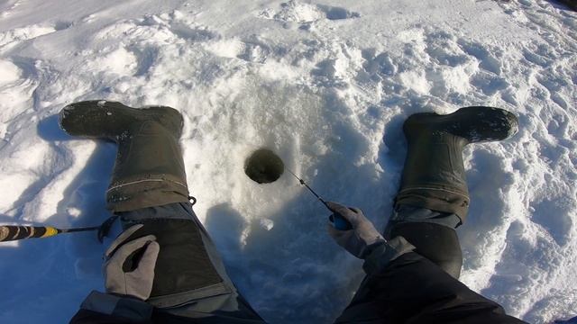 ЛОВЛЯ ОКУНЯ НА ВОЛГЕ/ РЫБАЛКА НА БЕЗМОТЫЛКУ/ МОРМЫШКИ ДЛЯ ОКУНЯ / ВОЛГА - САМАРА/ PERCH ON THE VOLG