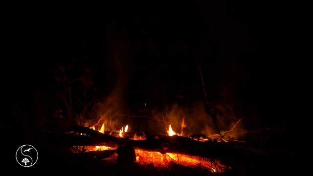Огонь, Костер Разносит Звуки Треска Поленьев | Дрова Горят на Природе в Летнюю Ночь, Котелок кипит смотреть онлайн