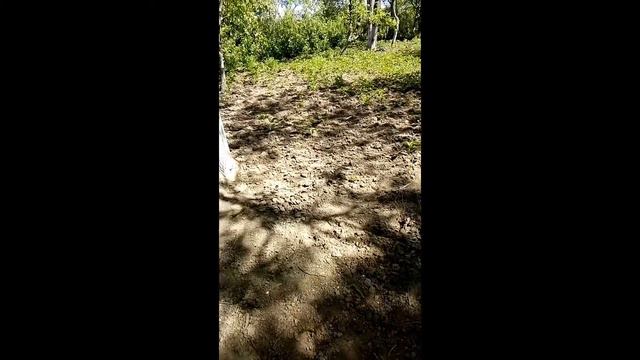 Второе видео рома показывает огород смотреть онлайн
