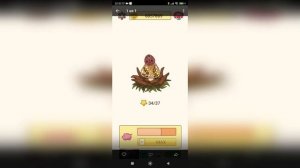 Грибные истории. Вся правда и полный разбор приложения.