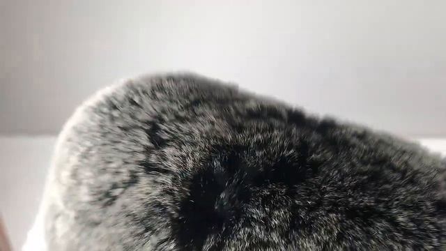 Мужская ушанка из меха кролика смотреть онлайн