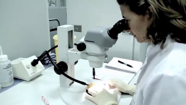 Jornada de Innovación en Oncología смотреть онлайн