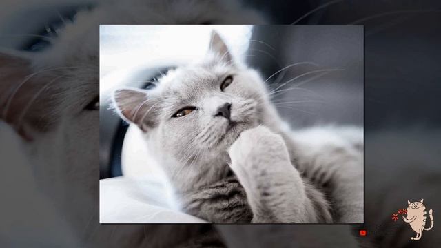 Деревенька моя смотреть онлайн