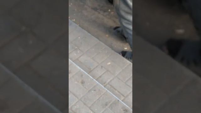 Бадулай так работает что носки до дыр про теряются????? смотреть онлайн