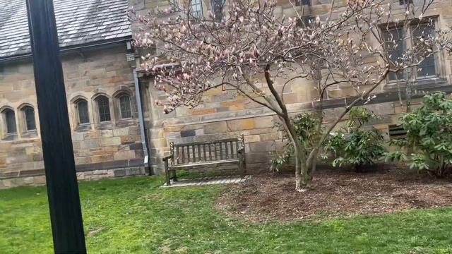 Yale University Campus Tour | Travel Vlog