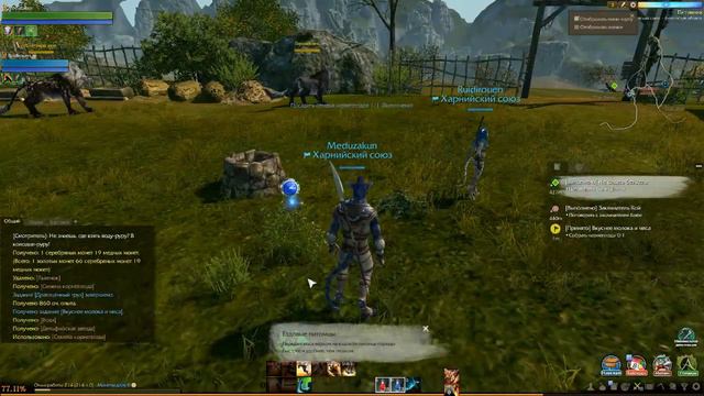 ArcheAge (2)