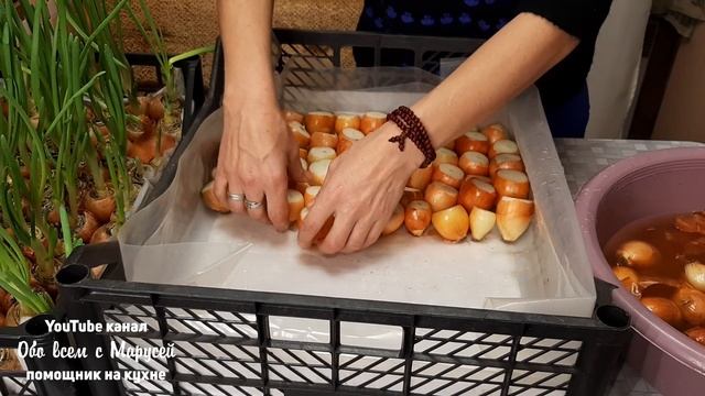 ЛУК НА ЗЕЛЕНОЕ ПЕРО ДВА СПОСОБА ВЫГОНКИ БЕЗ ЗЕМЛИ смотреть онлайн