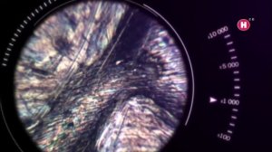 Микромир  Что это такое