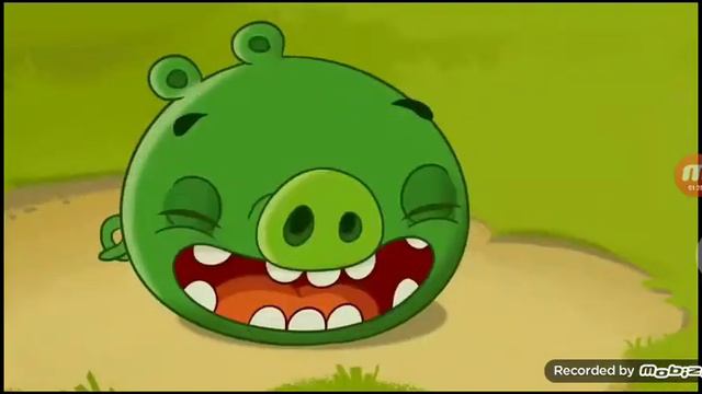 Angry Birds Toons Hypno Pigs (Funny Voice Over)