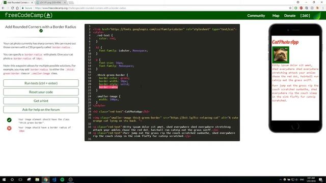 FreeCodeCamp Tutorial + Answers #19: Add Rounded Corners With A Border Radius - HTML/CSS смотреть онлайн
