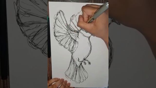 Quick bird sketch смотреть онлайн