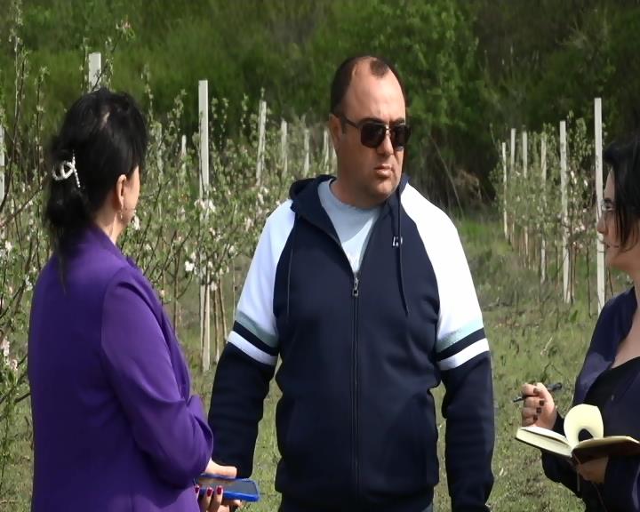 Поддержка государства нацелила на успех смотреть онлайн