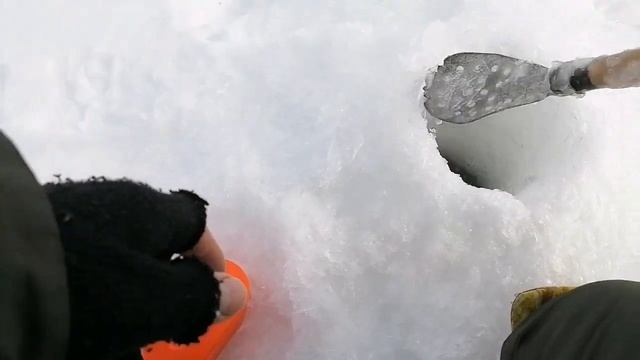 Снова ШАБЛИШ!!! Поставили 30 жерлиц на середине озера. Ловля и поиск крупного окуня!!! смотреть онлайн