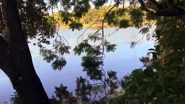 Анна Олейникова. Одна лишь ты мне нужна