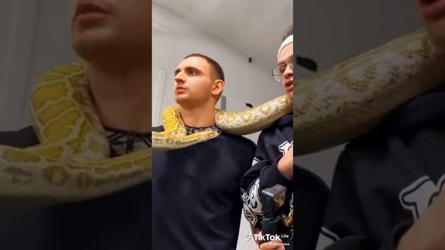 Литвина душит змея