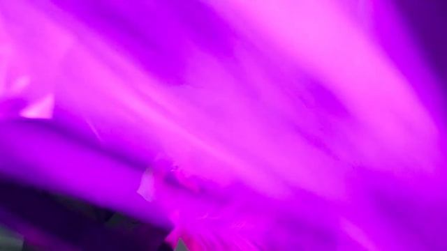 NEON by Pokras Studio смотреть онлайн
