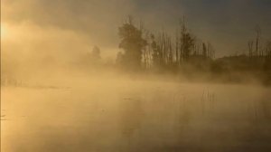 В сладкой тишине.Макс Грегер и Фауст Папетти.