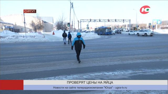 ФАС проверит цены на яйца в Югре смотреть онлайн