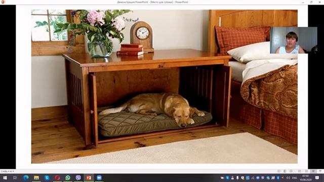 Где в квартире обустроить место для собаки? смотреть онлайн