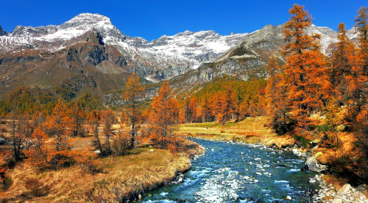 Горная река осенью. Расслабляющие волшебные звуки ✦ Успокаивающие Звуки ✦ Relax Sleep смотреть онлайн