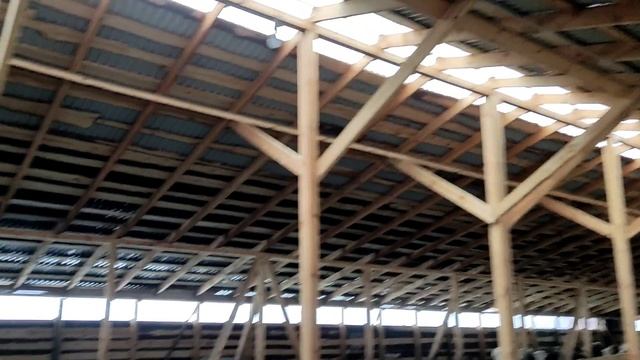 Завершение работ по электромонтаж у на животноводческой ферме смотреть онлайн