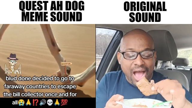 WAITWAITWAIT WHAT DA HELLL WAAZZAAA (quest Ah Dog Original Vs Meme)