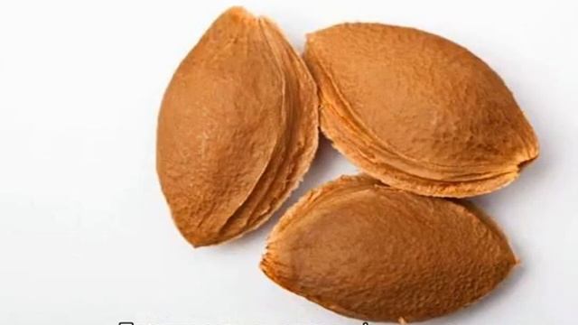 Как вырастить абрикос из косточки смотреть онлайн