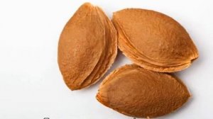 Как вырастить абрикос из косточки