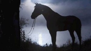 Цыганская песня ты лети мой конь стрелою