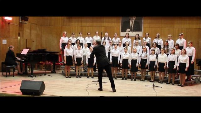 Хор "Ave Cantus" Б Чилкотт "Sanctus" "Benedictus" смотреть онлайн