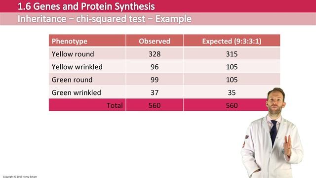 Chi-squared test - Post 16 Biology (A Level, Pre-U, IB, AP Bio) смотреть онлайн