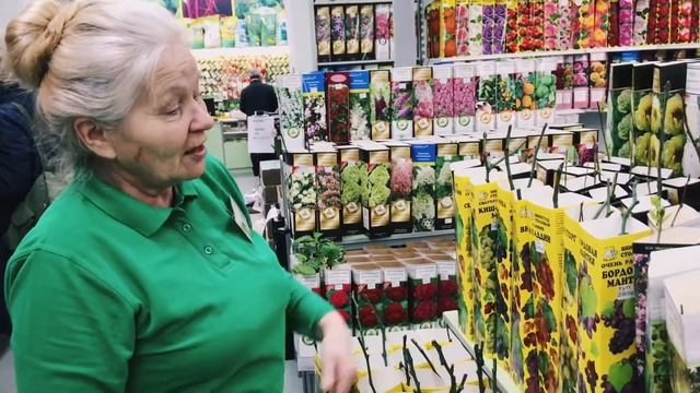 Вырастет ли виноград в Сибири?