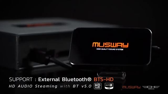 Musway USA DSP68 Digital Signal Processor