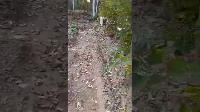 от Михайловны (упор на огород) смотреть онлайн