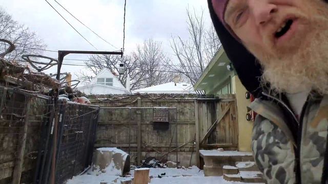 How Do I Handle Fights Over RAW Food - Pack Feeding on Deer смотреть онлайн