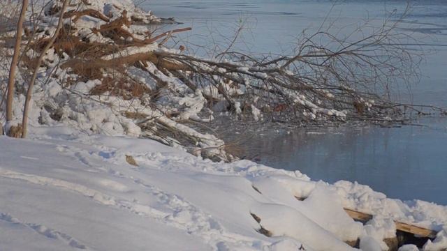 ЗИМНИЕ ЗАБАВЫ, ПЕРЕЕЗД В ДЕРЕВНЮ, Выпуск 14, проект 