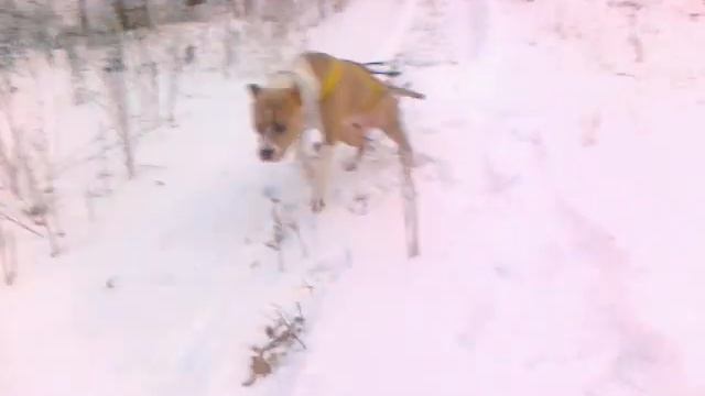 покрышка смотреть онлайн