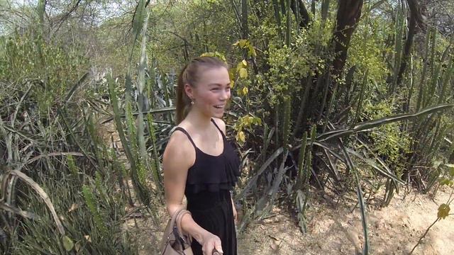 Сломать кактус или не сломать? :)) Индия, Дели. смотреть онлайн