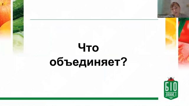 Обзор разных видов трипсов