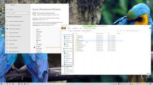 ОБНОВЛЕНИЕ WINDOWS10  ДО WINDOWS11 (22H2) ИНФОРМАЦИЯ ДЛЯ НЕСОВМЕСТИМЫХ ПК