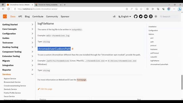 How to fix chrome driver launching problem in Webdriver IO | Issue Fixed смотреть онлайн