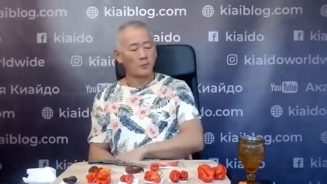 Дегустация Суперхот перцев "Чесночной Фермы". Часть 2. | Академия Киайдо | Гранд Мастер Сонг Парк смотреть онлайн