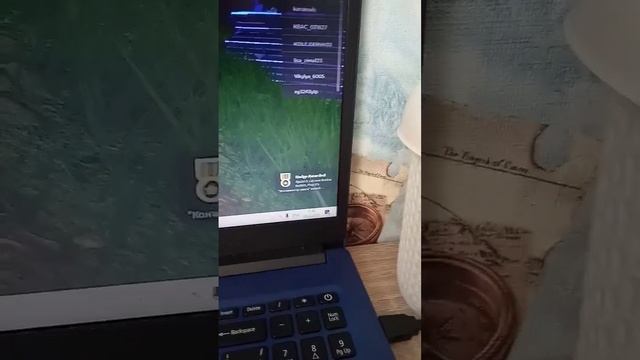 коды в особняке чудес смотреть онлайн