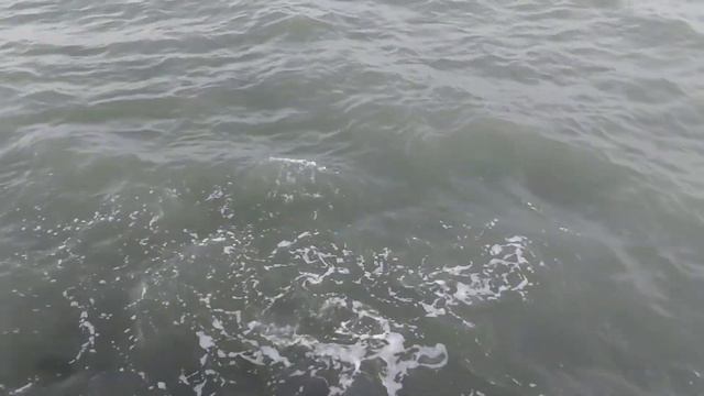 Ленкорань (30.07.2022), побережье Каспии. смотреть онлайн