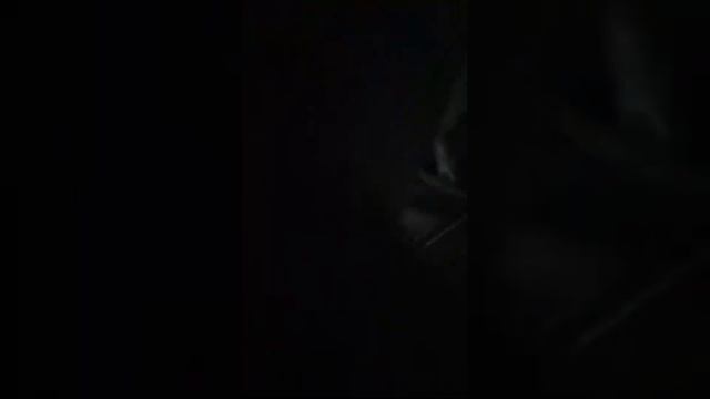 Интерьерный дизайн