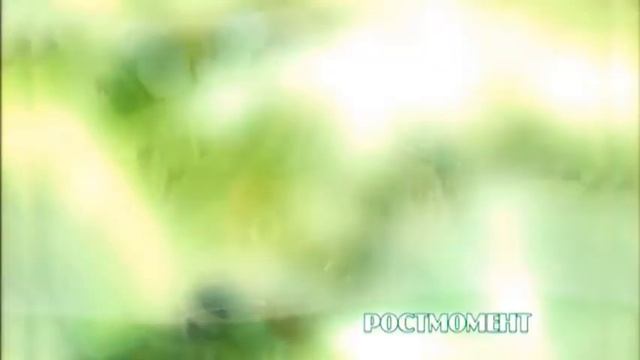 презентация РостМомент смотреть онлайн