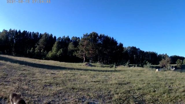 Первый сазан 2021 смотреть онлайн
